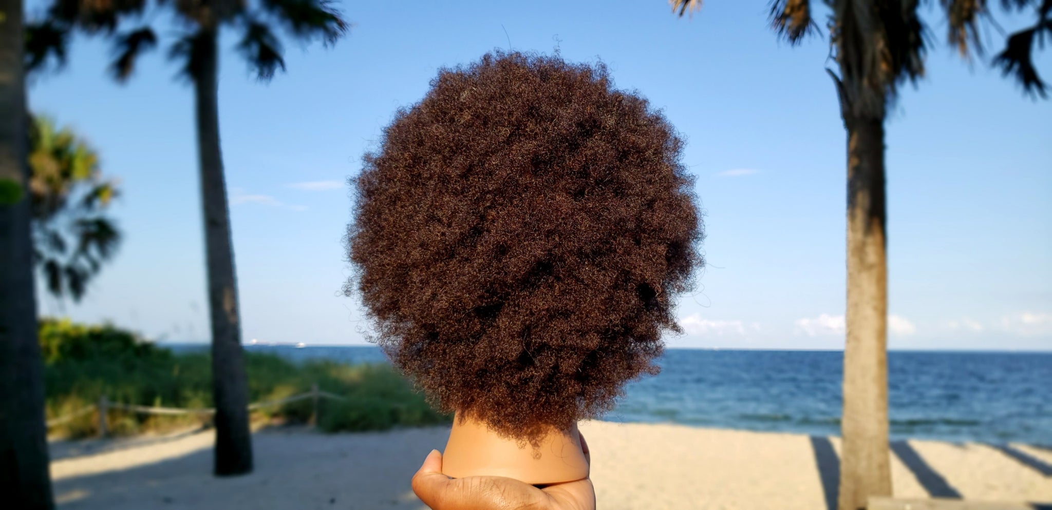Training Mannequin Head w/ 100% Afro kinky human hair