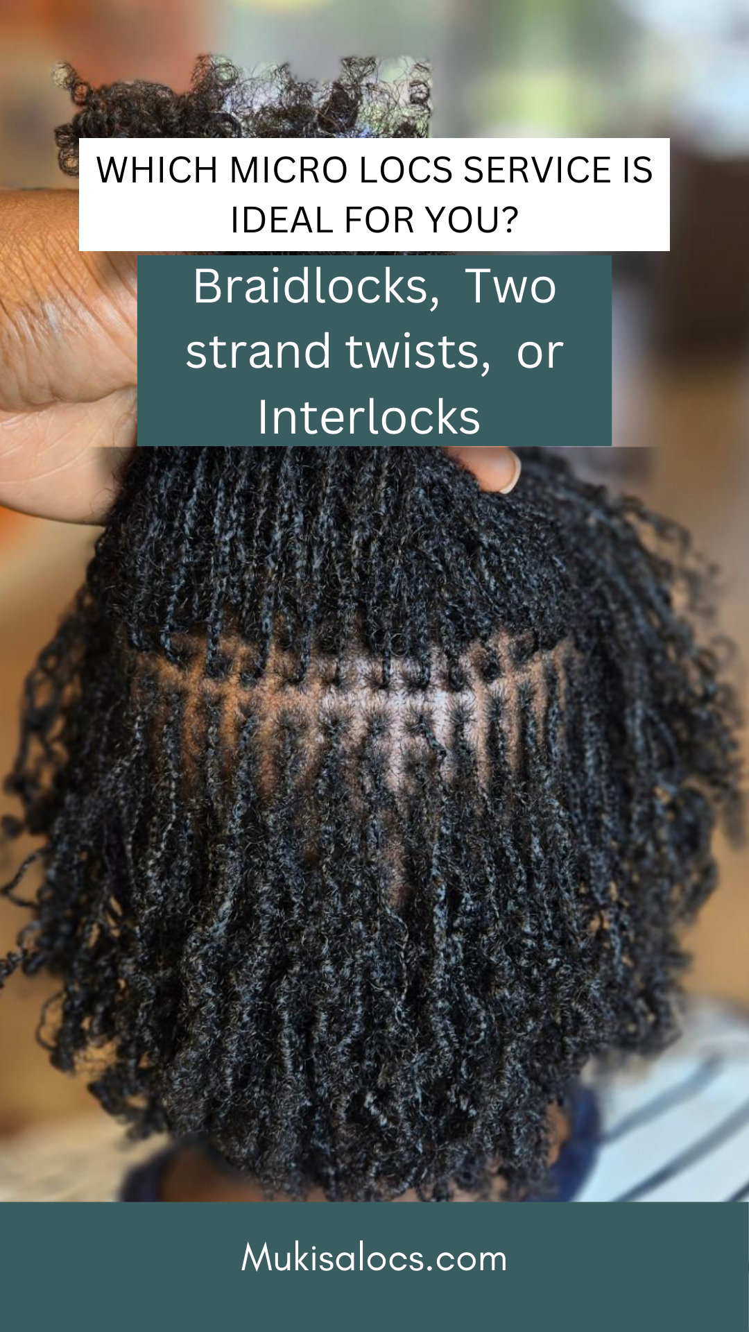 Which Micro locs service is ideal for you? Braidlocks,  Two strand twists,  or Interlocks?