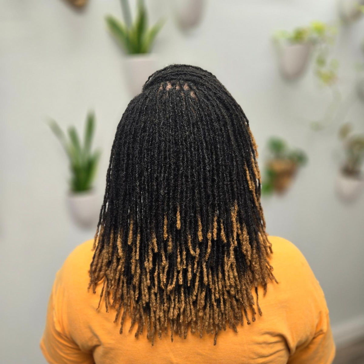 Micro Locs (Deposit) – Mukisa Locs | Loc extensions